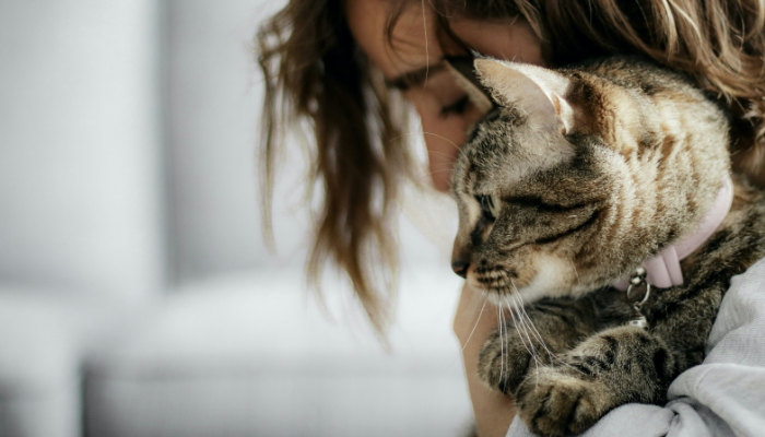 Mulher abraçando com carinho o seu gato
