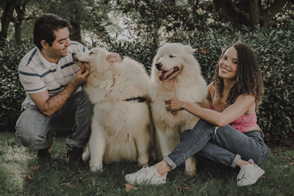 Casal a brincar com os seus dois cães no parque